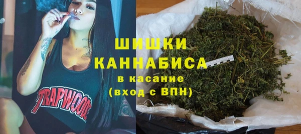 spice Алзамай